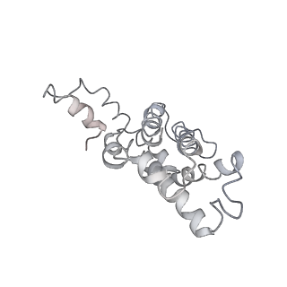 9976_6kgx_OJ_v1-1
Structure of the phycobilisome from the red alga Porphyridium purpureum