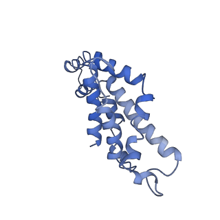 9976_6kgx_P1_v1-1
Structure of the phycobilisome from the red alga Porphyridium purpureum