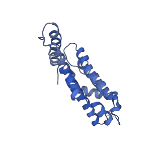 9976_6kgx_P2_v1-1
Structure of the phycobilisome from the red alga Porphyridium purpureum