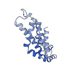 9976_6kgx_P4_v1-1
Structure of the phycobilisome from the red alga Porphyridium purpureum