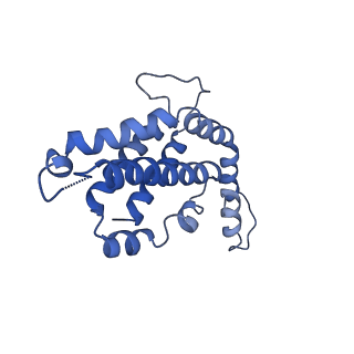 9976_6kgx_P6_v1-1
Structure of the phycobilisome from the red alga Porphyridium purpureum