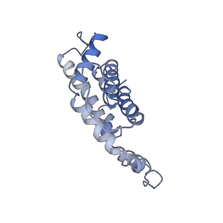 9976_6kgx_P7_v1-1
Structure of the phycobilisome from the red alga Porphyridium purpureum