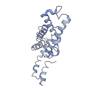 9976_6kgx_PA_v1-1
Structure of the phycobilisome from the red alga Porphyridium purpureum