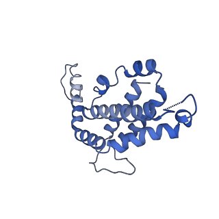 9976_6kgx_PB_v1-1
Structure of the phycobilisome from the red alga Porphyridium purpureum