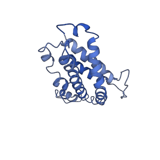 9976_6kgx_PD_v1-1
Structure of the phycobilisome from the red alga Porphyridium purpureum