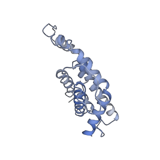 9976_6kgx_PF_v1-1
Structure of the phycobilisome from the red alga Porphyridium purpureum