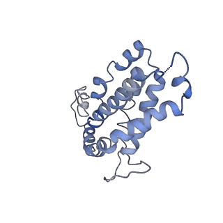 9976_6kgx_PG_v1-1
Structure of the phycobilisome from the red alga Porphyridium purpureum