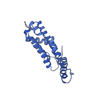 9976_6kgx_PI_v1-1
Structure of the phycobilisome from the red alga Porphyridium purpureum