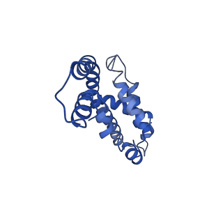 9976_6kgx_Q2_v1-1
Structure of the phycobilisome from the red alga Porphyridium purpureum