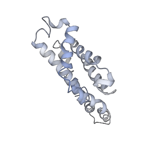 9976_6kgx_Q7_v1-1
Structure of the phycobilisome from the red alga Porphyridium purpureum