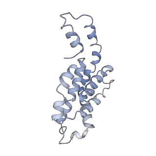 9976_6kgx_Q8_v1-1
Structure of the phycobilisome from the red alga Porphyridium purpureum