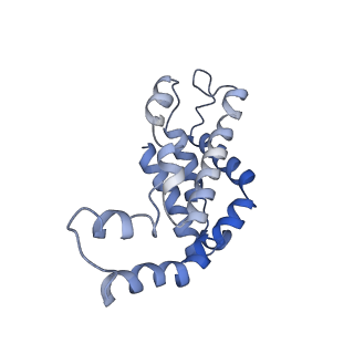 9976_6kgx_QE_v1-1
Structure of the phycobilisome from the red alga Porphyridium purpureum