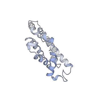 9976_6kgx_QF_v1-1
Structure of the phycobilisome from the red alga Porphyridium purpureum