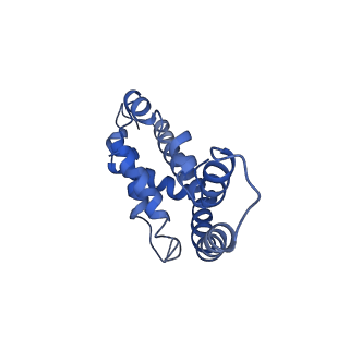 9976_6kgx_QI_v1-1
Structure of the phycobilisome from the red alga Porphyridium purpureum