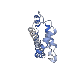 9976_6kgx_R1_v1-1
Structure of the phycobilisome from the red alga Porphyridium purpureum