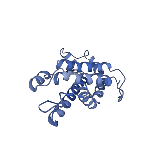 9976_6kgx_R3_v1-1
Structure of the phycobilisome from the red alga Porphyridium purpureum