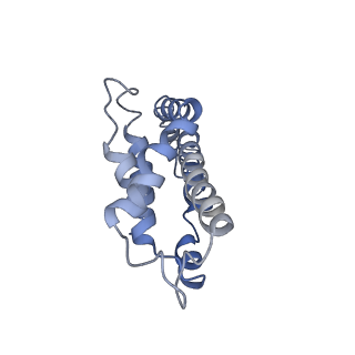 9976_6kgx_R4_v1-1
Structure of the phycobilisome from the red alga Porphyridium purpureum