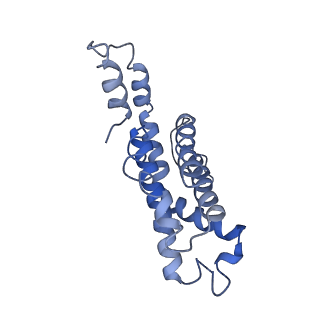 9976_6kgx_R6_v1-1
Structure of the phycobilisome from the red alga Porphyridium purpureum