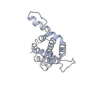 9976_6kgx_R7_v1-1
Structure of the phycobilisome from the red alga Porphyridium purpureum