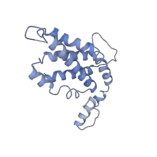 9976_6kgx_R8_v1-1
Structure of the phycobilisome from the red alga Porphyridium purpureum