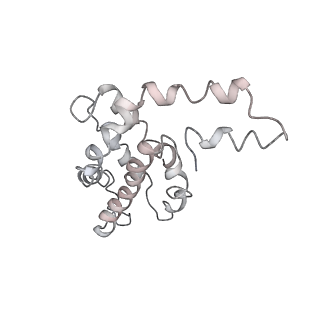 9976_6kgx_R9_v1-1
Structure of the phycobilisome from the red alga Porphyridium purpureum