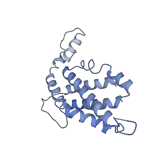 9976_6kgx_RA_v1-1
Structure of the phycobilisome from the red alga Porphyridium purpureum
