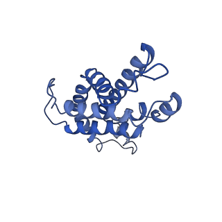 9976_6kgx_RD_v1-1
Structure of the phycobilisome from the red alga Porphyridium purpureum