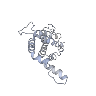 9976_6kgx_RF_v1-1
Structure of the phycobilisome from the red alga Porphyridium purpureum