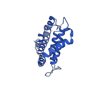 9976_6kgx_RI_v1-1
Structure of the phycobilisome from the red alga Porphyridium purpureum