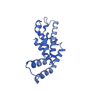 9976_6kgx_S2_v1-1
Structure of the phycobilisome from the red alga Porphyridium purpureum