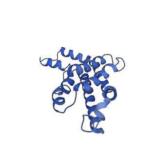 9976_6kgx_S3_v1-1
Structure of the phycobilisome from the red alga Porphyridium purpureum