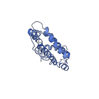 9976_6kgx_S4_v1-1
Structure of the phycobilisome from the red alga Porphyridium purpureum