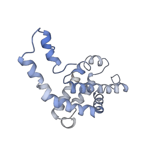 9976_6kgx_S8_v1-1
Structure of the phycobilisome from the red alga Porphyridium purpureum