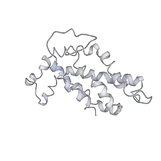 9976_6kgx_S9_v1-1
Structure of the phycobilisome from the red alga Porphyridium purpureum