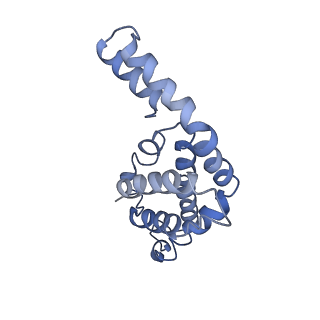 9976_6kgx_SB_v1-1
Structure of the phycobilisome from the red alga Porphyridium purpureum