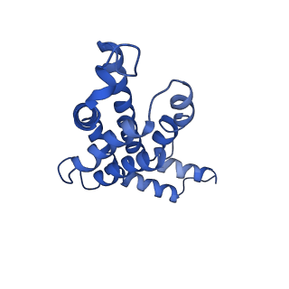 9976_6kgx_SD_v1-1
Structure of the phycobilisome from the red alga Porphyridium purpureum