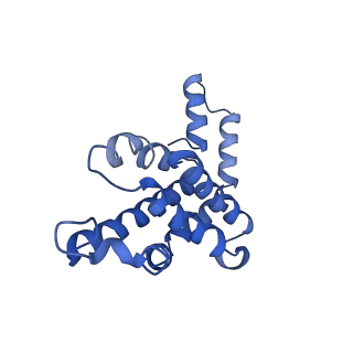 9976_6kgx_SE_v1-1
Structure of the phycobilisome from the red alga Porphyridium purpureum