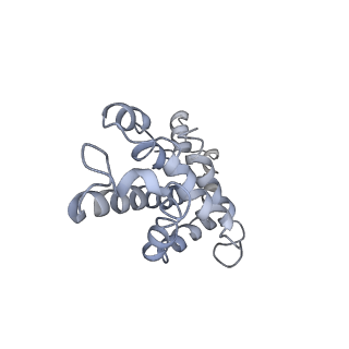 9976_6kgx_SF_v1-1
Structure of the phycobilisome from the red alga Porphyridium purpureum