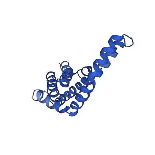 9976_6kgx_SH_v1-1
Structure of the phycobilisome from the red alga Porphyridium purpureum