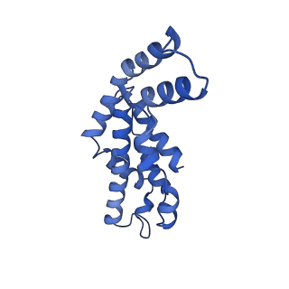 9976_6kgx_SI_v1-1
Structure of the phycobilisome from the red alga Porphyridium purpureum
