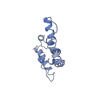 9976_6kgx_T1_v1-1
Structure of the phycobilisome from the red alga Porphyridium purpureum
