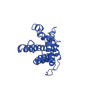 9976_6kgx_T2_v1-1
Structure of the phycobilisome from the red alga Porphyridium purpureum