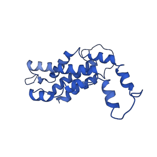 9976_6kgx_T3_v1-1
Structure of the phycobilisome from the red alga Porphyridium purpureum