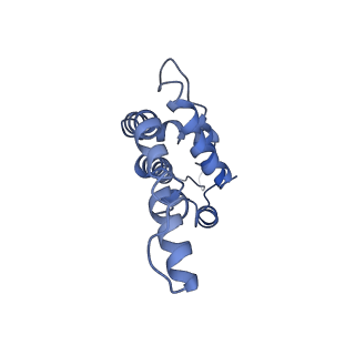 9976_6kgx_T4_v1-1
Structure of the phycobilisome from the red alga Porphyridium purpureum