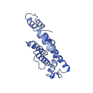 9976_6kgx_T6_v1-1
Structure of the phycobilisome from the red alga Porphyridium purpureum