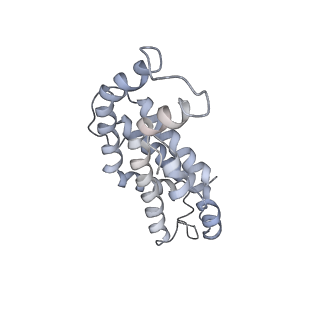 9976_6kgx_T7_v1-1
Structure of the phycobilisome from the red alga Porphyridium purpureum
