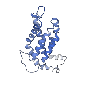 9976_6kgx_T8_v1-1
Structure of the phycobilisome from the red alga Porphyridium purpureum
