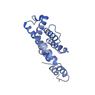 9976_6kgx_TB_v1-1
Structure of the phycobilisome from the red alga Porphyridium purpureum