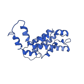 9976_6kgx_TD_v1-1
Structure of the phycobilisome from the red alga Porphyridium purpureum