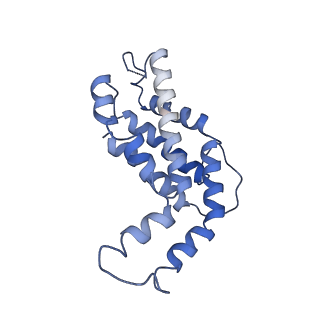 9976_6kgx_TE_v1-1
Structure of the phycobilisome from the red alga Porphyridium purpureum